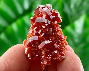 TOP Double Sided Vanadinite from Morocco,Morocco Minerals and Crystals,Vanadinite Crystal,red,Vanadinite,Red Crystal,Mineral Specimen,Red