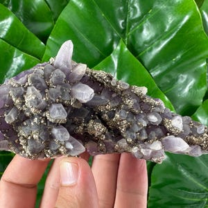 Rare Amethyst with Pyrite from Chala mine Bulgaria,Bulgarian Amethyst,Purple Quartz,Cluster,Specimen,Crystal,Chala mine N565