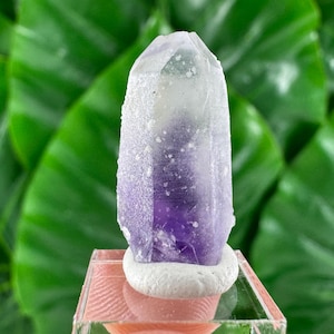 May include: A polished amethyst crystal point, displaying a gradient of purple to clear hues. The crystal is mounted on a white, textured base, set against a backdrop of large, green leaves. The crystal's facets catch the light.