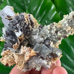 May include: A mineral specimen featuring dark metallic galena crystals clustered with translucent quartz points and light tan, textured matrix material. The formation displays a complex arrangement of sharp, cubic, and irregular crystal structures.