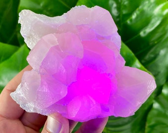 Forte calcite mangano rosa fluorescente dalla miniera di Androvo, Zlatograd, Bulgaria, cristallo rosa, calcite rosa, colore superiore