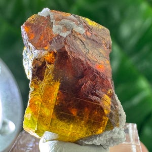 Peut inclure: Gros plan sur un spécimen minéral aux couleurs variées. Le cristal a un aspect translucide avec des nuances de jaune, d'orange et de brun. Une matière cristalline blanche est visible à la base et au sommet du spécimen. Le fond est vert flou.
