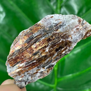 May include: A raw, natural mineral specimen with layers of brown, black, and gold hues. The stone has a rough, textured surface and a light gray area. The background is a blurred green.