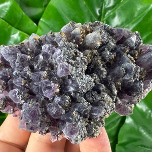 Rare Amethyst with Pyrite and micro crystals Gem Sphalerite from Chala mine Bulgaria,Bulgarian Amethyst,Specimen,Crystal,Chala mine N565