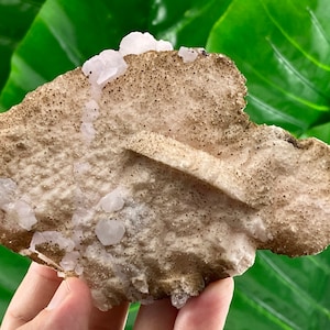 Large Double sided two generations Calcite and Quartz from Borieva mine,Madan,Bulgaria,Mineral Specimen,Home Decor,Calcite Collector,Mineral