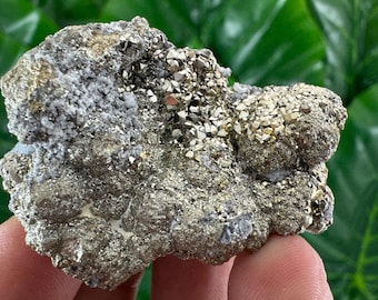 Very nice Pyrite from Androvo mine,Zlatograd,Bulgaria,Natural Mineral,Specimen,Cluster,Crystal,stone,Cluster,Baryte,Bulgarian,N76