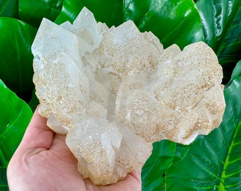 May include: A large, white crystal cluster with a rough, textured surface. The crystal has a golden hue and is covered in small, sparkling crystals.
