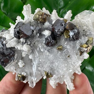 Incredible Sphalerite,Pyrite,Chalcopyrite,CalciteDolomite on Quartz  from Trepca,Kosovo,Trepca Stari Trg Mine,Trepca complex,Mitrovica,N560