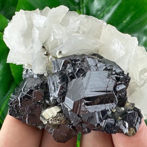 Amazing Sphalerite,Pyrite, Calcite from Trepca,Kosovo,Trepca Stari Trg Mine,Trepca complex,Mitrovica,N67
