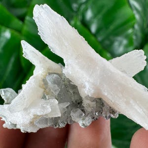 Rare Fluorescent Calcite on Quartz from Djurkovo mine,Laki ,Bulgaria,Calcite Collector,UV Reaction,UV Reactive crystal N73