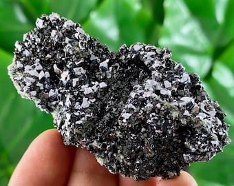 Mirror Galena and Sphalerite from Bulgaria,Natural Mineral,Specimen,Cluster,Crystal,Natural Crystal,Specimen,Galena Crystal,Mineral Specimen