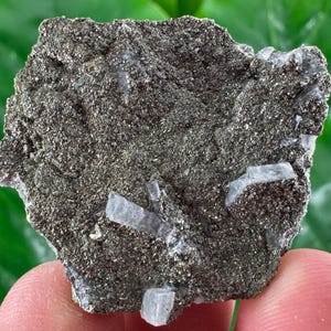 Peut inclure: Spécimen minéral rugueux, gris foncé, avec des formations cristallines bleu-gris clair incrustées. La surface a une texture granuleuse et les cristaux sont translucides. Le fond est vert flou.