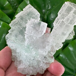 Rare white-Green Halite from Lubin mine,Poland,Green Halite Crystal,Green Halite mineral,Green Halite Collection,Hallite PolandN5