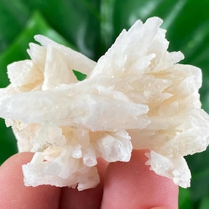 Rare Calcite from Djurkovo mine,Laki ,Bulgaria,Calcite Collector,crystal N56