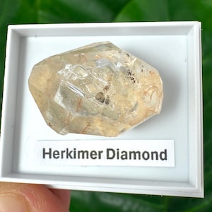 Herkimer Diamond (Mini) – Natural Double-Terminated Quartz Crystal,Size stand: 4 x 3.5 cm