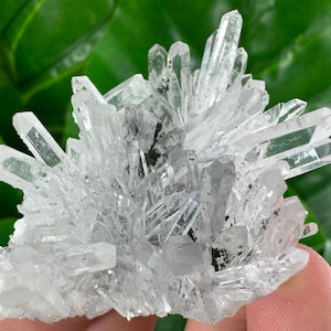 Transparent Quartz from Borieva mine,Madan,Bulgaria,,Mineral,Specimen,Calcite Collector’s,minerals,N522