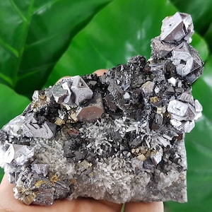 Wunderschöner Quarz mit Galenit,Sphalerit und Pyrit aus Bulgarien,Kristall,Mineral,Probe,natürlicher Kristall,Pyrit,Stein,Felsen,Cluster,