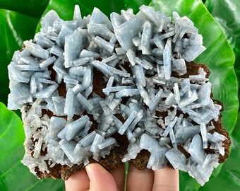 Large Blue Baryte from Spain,Mineral Specimen,Blue Barite,Spanish Baryte,Mineral Specimen,Rare Blue Barite, Natural Crystal, Blue Crystal,