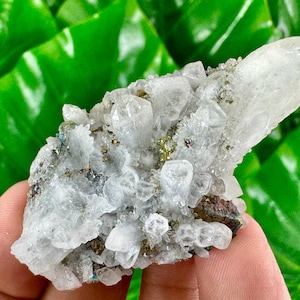 Beautiful Quartz  with Chalcopyrite from Krushev Dol mine,Madan,Bulgaria,Mineral Specimen,Home Decor,Golden Crystal,Chalcopyrite,