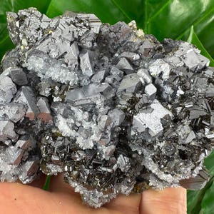 Amazing Gem Sphalerite with Galena and Quartz from Krushev dol mine,Madan,Bulgaria,Mineral Specimen,Mineral Collection,Energy CrystalN505