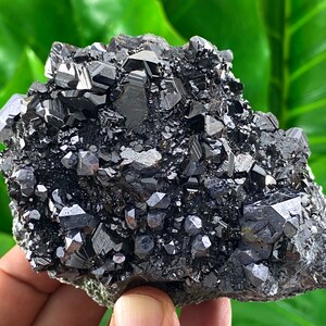 Sphalerite with Galena from Borieva mine,Madan,Bulgaria,Galena,Galena Crystal, Specimen,Galena Crystal,Cubes Galena