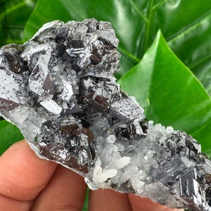 Amazing Galena with Quartz and Gem Sphalerite from Krushev dol mine,Madan,Bulgaria,Mineral Specimen,Mineral Collection,Energy CrystalN3