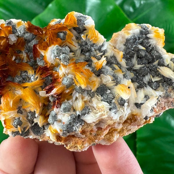 Cerussite on Baryte from Morocco, Mineral,Specimen,N201