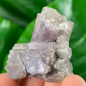Amazing Aragonite from Spain,Aragonite crystal,cluster,natural,mineral,specimen,Purple Aragonite,Spanish Aragonite,Mineralcollection,