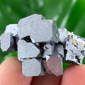 May include: A cluster of gray, metallic-looking galena crystals. The crystals have a cubic shape and are clustered together. The background is a blurred green, suggesting foliage. The galena is held by a person's fingers.