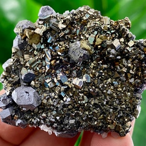 Aesthetic Chalcopyrite with Calcite,Galena from Borieva mine,Madan,Bulgaria,Mineral Specimen,Natural Crystal,Collection’s,