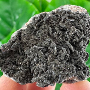 May include: A dark gray mineral specimen with a rough, textured surface. The mineral has a crystalline structure and appears to be composed of small, tightly packed crystals. The background is blurred green foliage.