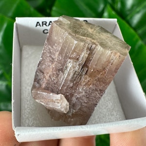 Amazing Aragonite from Spain,Aragonite crystal,cluster,natural,mineral,specimen,Purple Aragonite,Spanish Aragonite,Mineralcollection,