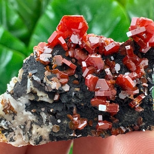 A very nice Vanadinite from Morocco,Crystal, Mineral,Specimen,Cluster,Vanadinite Crystal,Vanadinite,Geology,Vanadinite,Red,Home Decor, N61