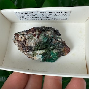 May include: A mineral specimen of Libethenite Pseudomalachite, Cu2(PO4)(OH) and Cu5(PO4)2(OH)4, from Miguel Vacas Mine, Vila Viçosa, Évora, Portugal. The mineral is a mix of green, brown, and white colors, presented in a white box.