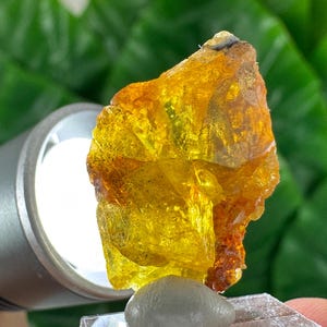 Peut inclure: Un spécimen minéral brut et translucide de couleur ambre avec une texture cristalline irrégulière. La pierre présente des teintes dorées et orangées profondes, éclairée latéralement par une lampe torche argentée révélant sa clarté.