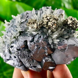 Amazing Galena with Transparent Quartz and Golden Pyrite from Borieva mine,Madan,Bulgaria, Mineral Specimen,mineral collection,Collectors