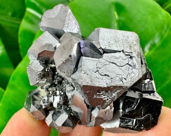 Increíble Galena de la mina Borieva, Madan, Bulgaria, Mineral natural, Espécimen, Racimo, Cristal, Piedra, Piedra preciosa, Gema