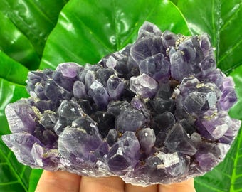 有名なチャラ鉱山産の希少な黄鉄鉱入りアメジスト、ブルガリア産