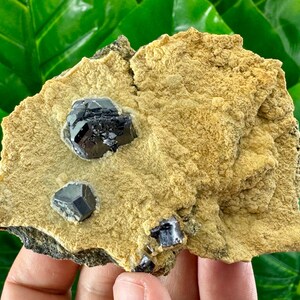 Very nice Sphalerite with Calcite,Galena from Krushev dol mine,Madan,Bulgaria,Mineral Specimen,Mineral Collection,Crystal collection,N510