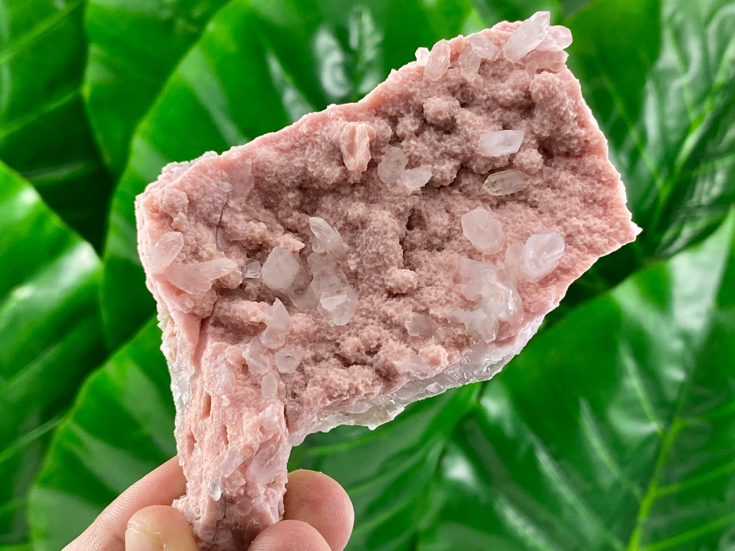Rhodochrosite with Quartz from 9th September mine,Madan,Bulgaria,Mineral Specimen,100% Natural,Rhodochrosite Crystal,Pink Crystal,Home Decor