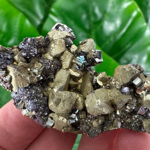 Amazing Chalcopyrite,with Pyrite from Krushev dol mine Madan,Bulgaria, Natural Crystal, Home Decor, Energy Crystal, Cluster