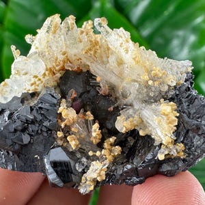 Amazing Sphalerite with Calcite and Quartz from Trepca,Kosovo,Trepca Stari Trg Mine,Trepca complex,Mitrovica,N67