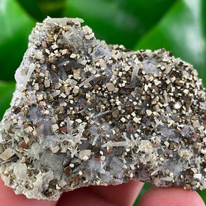 Amazing Pyrite with Quartz on Calcite  from Borieva mine Madan,Bulgaria,Mineral,Crystal,Natural Crystal,Fool’s gold,Collection,CollectorsN13