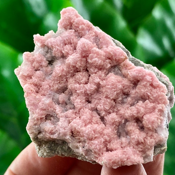 Amazing Rhodochrosite with Stilbite,Quartz,Chalcopyrite from Davidkovo ore Filed, Bulgaria,Pink Crystal,Davitkovo mine