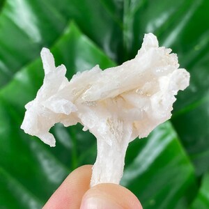 Rare Calcite from Djurkovo mine,Laki ,Bulgaria,Calcite Collector,crystal N56