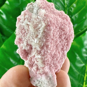 Incroyable rhodochrosite avec stilbite, quartz de minerai de Davidkovo déposé, Bulgarie, cristal rose, cristal de rodochrosite, rose