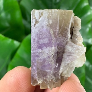 Amazing Aragonite from Spain,Aragonite crystal,cluster,natural,mineral,specimen,Purple Aragonite,Spanish Aragonite,Mineralcollection,