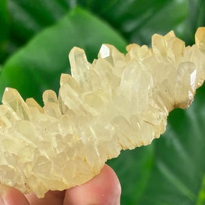 Transparent Quartz with Limonite from 9th September mine,Madan,Bulgaria,Transparent Quartz,Quartz Cluster,Home Decor, Energy Crystal,