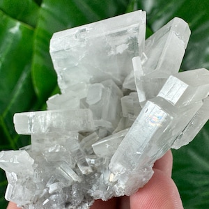 May include: A cluster of clear, crystalline mineral formations. The crystals are mainly white with some translucent areas. The structure has a layered appearance with sharp, angular edges. The background is a blurred green.