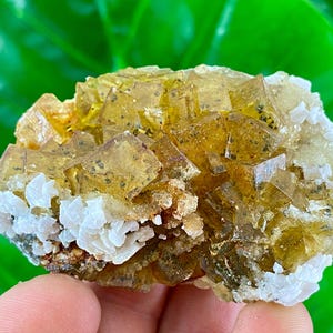 Yellow Fluorite with Calcite from Moscona Mine,Spain,Mineral Specimen,Yellow Fluorite,Fluorite from Spain,Collection,Big Fluorite,